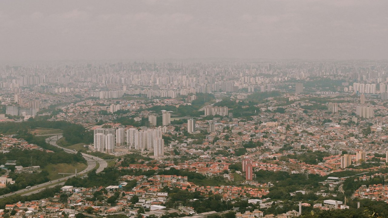 Judicialização de planos pet: O custo invisível das famílias multiespécie